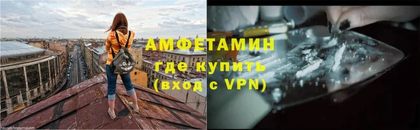 ECSTASY Ельня