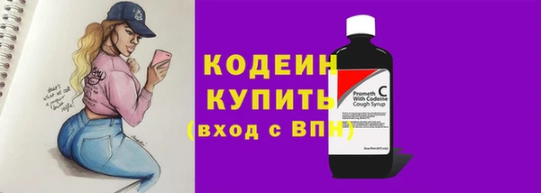 гашик Елабуга