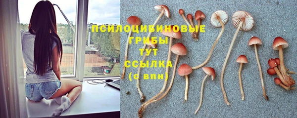 ALPHA-PVP Дмитров