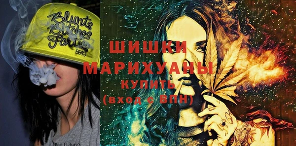 ECSTASY Ельня