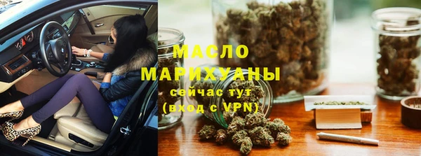 ECSTASY Ельня