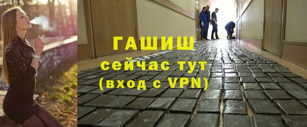ECSTASY Ельня