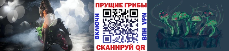 магазин наркотиков Янаул Галлюциногенные грибы Cubensis